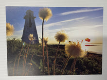 Charger l'image dans la galerie, Carte Postale acadien / souvenir