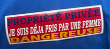 Charger l'image dans la galerie, Collant drapeau Acadie  pour automobile 2.7’’x 9’’ (4 saisons) Humoristique
