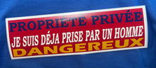Charger l'image dans la galerie, Collant drapeau Acadie  pour automobile 2.7’’x 9’’ (4 saisons) Humoristique

