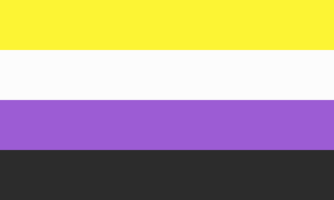 Drapeau Gender Non-Binary 36"x 60" flag / arc-en-ciel