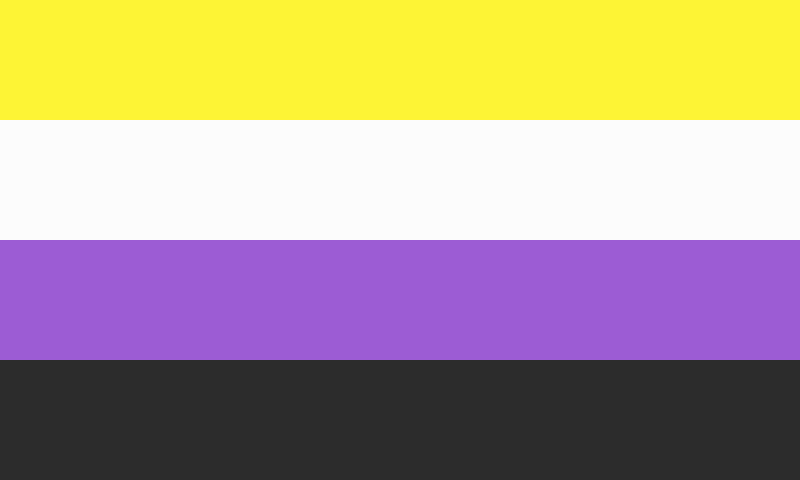 Drapeau Gender Non-Binary 36