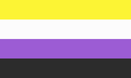 Drapeau Gender Non-Binary 36