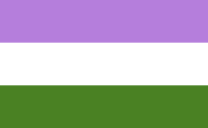 Drapeau Genderqueer 36"x 60" flag / arc-en-ciel