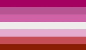 Drapeau Lesbian 36"x 60" flag / arc-en-ciel