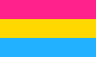 Drapeau Pansexual 36