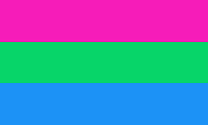 Drapeau Polysexual 36