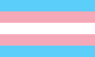 Drapeau Transgender  flag / arc-en-ciel